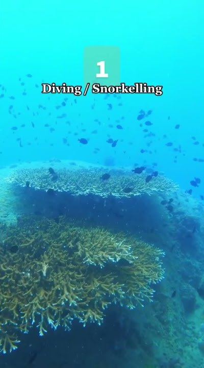 Top 5 Things to Do in Koh Tao and How Much They Cost 🇹🇭